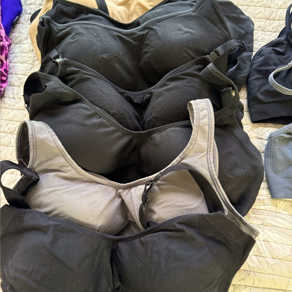Women's Black and Gray bras